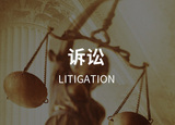 诉讼