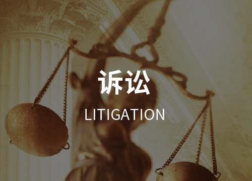 诉讼