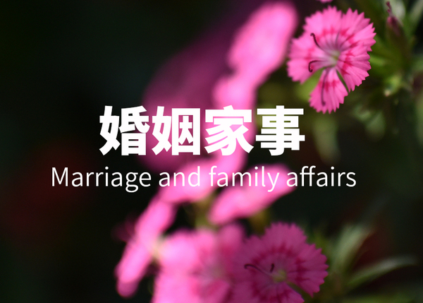 婚姻家事