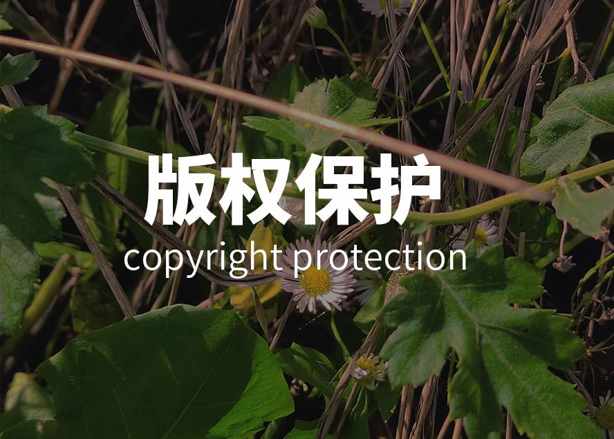 版权保护