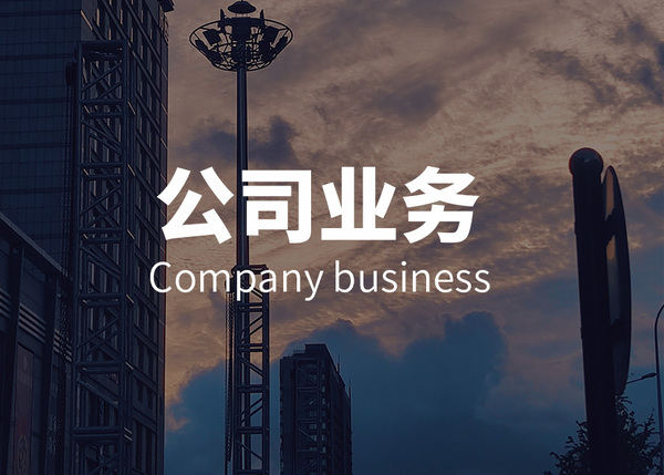 公司业务